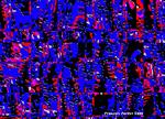 FELIX ET LEON.gif